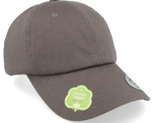 Blanks-Yupoong Organic Dad Cap - Red