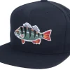 Outlet Skillfish Perch Applique Patch Black Snapback -