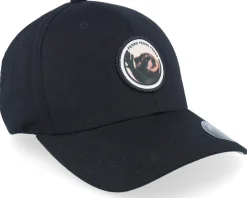 Flexfit-Scenes Raccoon Pedro Round Patch Black Flexfit -