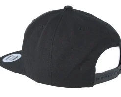 Snapback-Lions Roar Black/Gold Snapback -