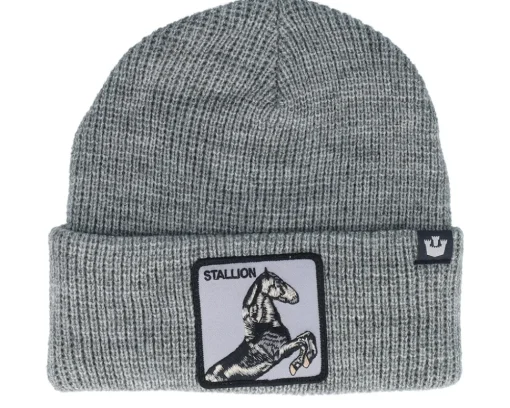 Outlet Goorin Bros. Ruff Stuff Beanie Dark Cuff - Brown