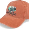 Dad Cap-American Needle Saguaro Trailhead Oxide Dad Cap -