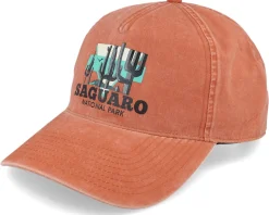 Dad Cap-American Needle Saguaro Trailhead Oxide Dad Cap -