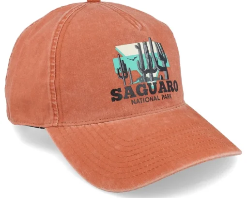 Dad Cap-American Needle Saguaro Trailhead Oxide Dad Cap -