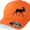 Outdoor-Hunter Side Moose Orange Flexfit -