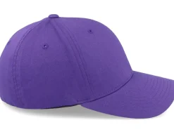 Fashion Wild Spirit Small Mountain White/ Flexfit - Purple