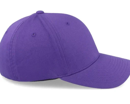 Fashion Wild Spirit Small Mountain White/ Flexfit - Purple