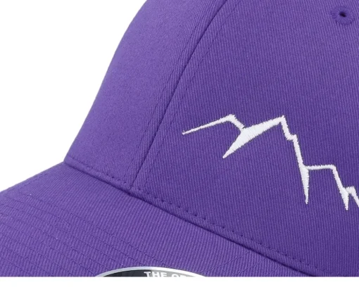 Fashion Wild Spirit Small Mountain White/ Flexfit - Purple