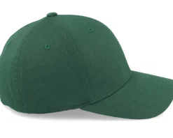 Hot Wild Spirit Small Mountain White/Spruce Flexfit - Green