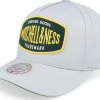Adjustable-Mitchell & Ness Sporting Pro Crown Grey/Green A-Frame Adjustable -