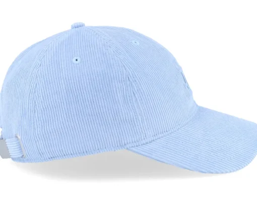 Dad Cap | Skate-DC Star Ashley Blue Dad Cap -