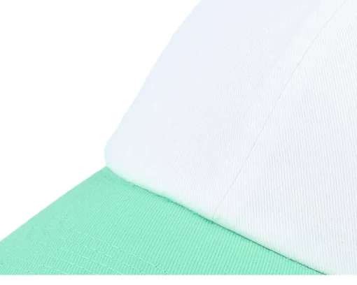 Blanks-Equip Stone Washed /Mint Dad Cap - White