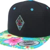 Snapback-Iconic Summer Neon Flamingo Black/Aqua Snapback -