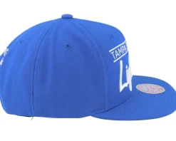 Snapback-Mitchell & Ness Tampa Bay Lightning Retro Lock Up Snapback - Blue