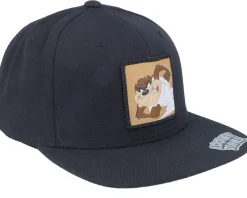 Snapback-Looney Tunes Taz Black Snapback -
