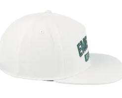 Sale Emerica Team Stay Gold Snapback - White