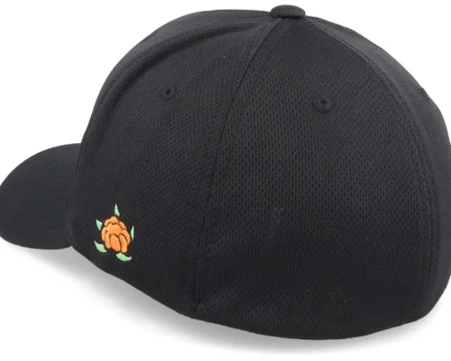 Online SQRTN The Great Norrland Sport Flex Black Flexfit -