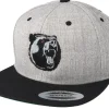 Outdoor-Hunter The Roar Grey/Black Snapback -