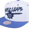 Snapback-Mitchell & Ness Toronto Maple Leafs Transcript /Blue Snapback - White