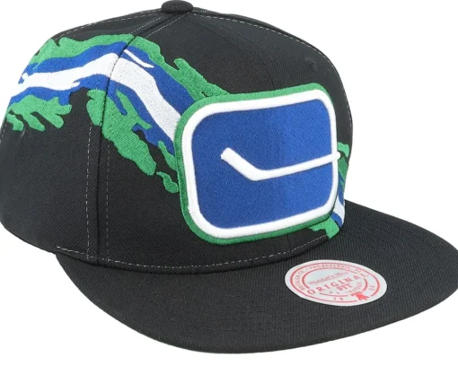 Snapback-Mitchell & Ness Vancouver Canucks Vintage Paintbrush Snapback - Black