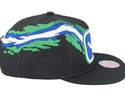 Snapback-Mitchell & Ness Vancouver Canucks Vintage Paintbrush Snapback - Black