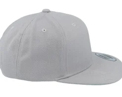 Sale Wild Spirit Windrose Mountain Grey Patch Silver Snapback -